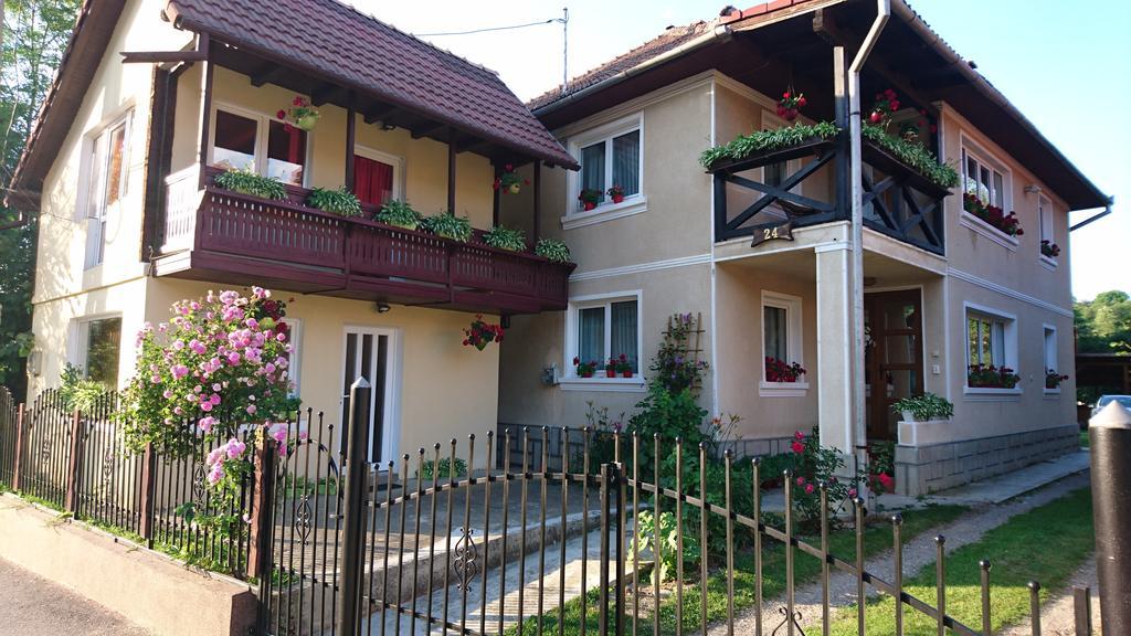 Casa Georgeta Affittacamere Bran  Esterno foto